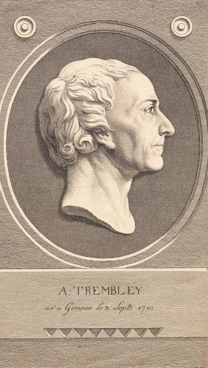 Relief Medallion Abraham Trembley zoológus portréjával alkotó: J.F. Clemens
