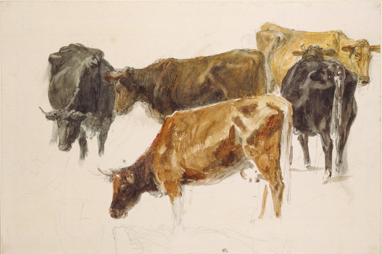 Tanulmány egy csoport tehénről, c1801 alkotó: Joseph Mallord William Turner
