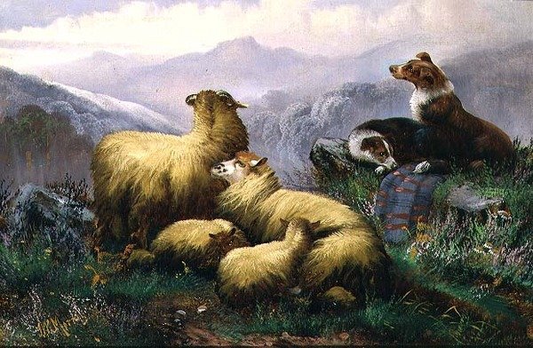 Juhkutyák és juhok a Skót Felföldön alkotó: J.W. Morris