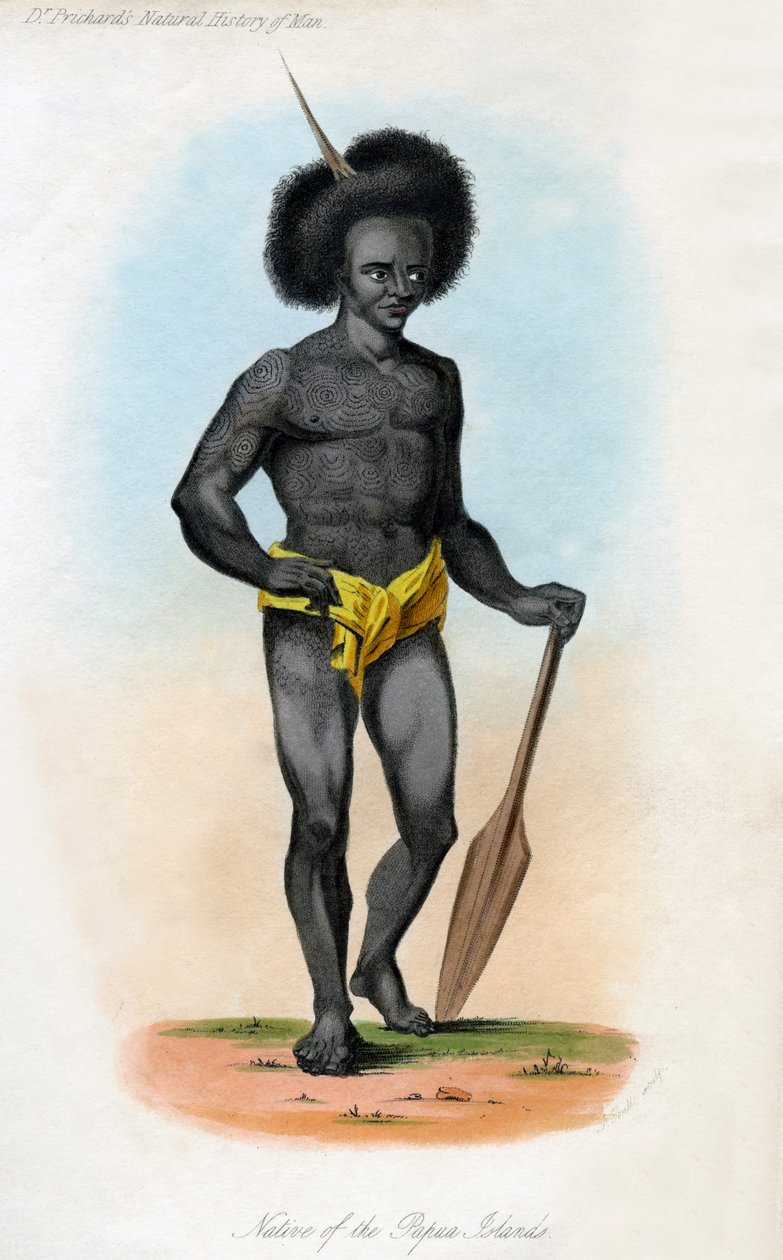 A Pápua-szigeteken őshonos, 1840 körül. alkotó: J. Bull