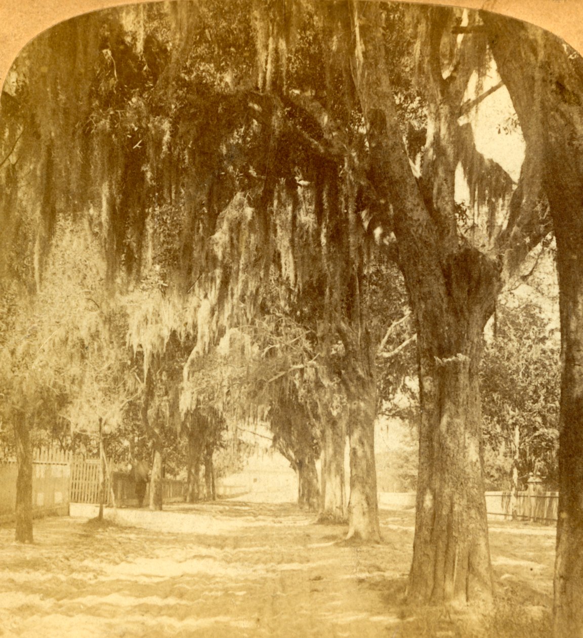 St. Augustine bejárata, Florida, USA, 1901. alkotó: J. F. Jarvis