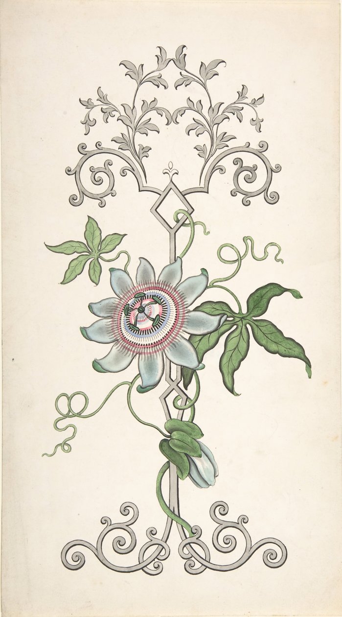Paneldekoráció tervezése golgotavirággal, 1828-40. alkotó: J Hulme