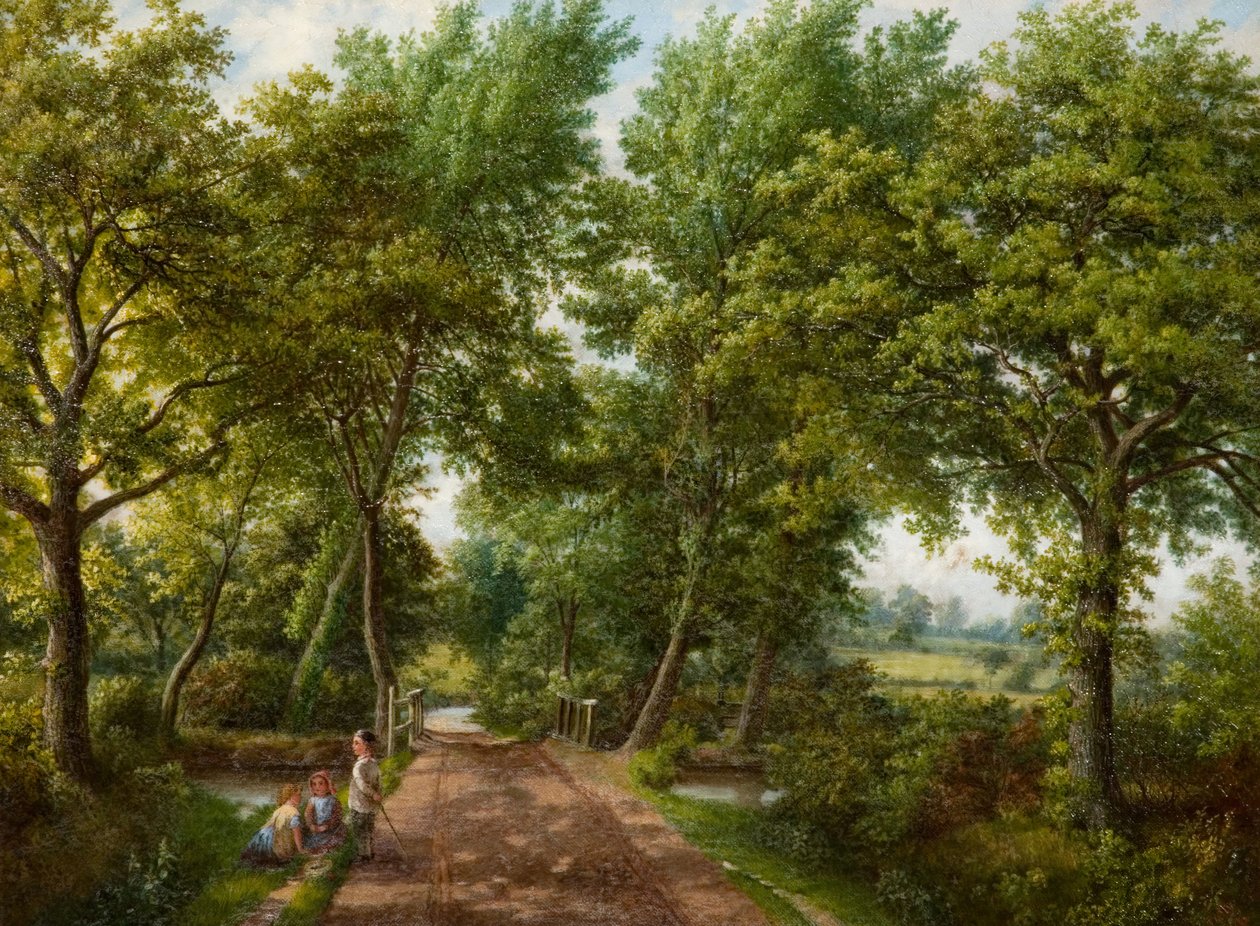 Hob Moor Road Ford, Birmingham, 1870-es évek. alkotó: J. Jolly