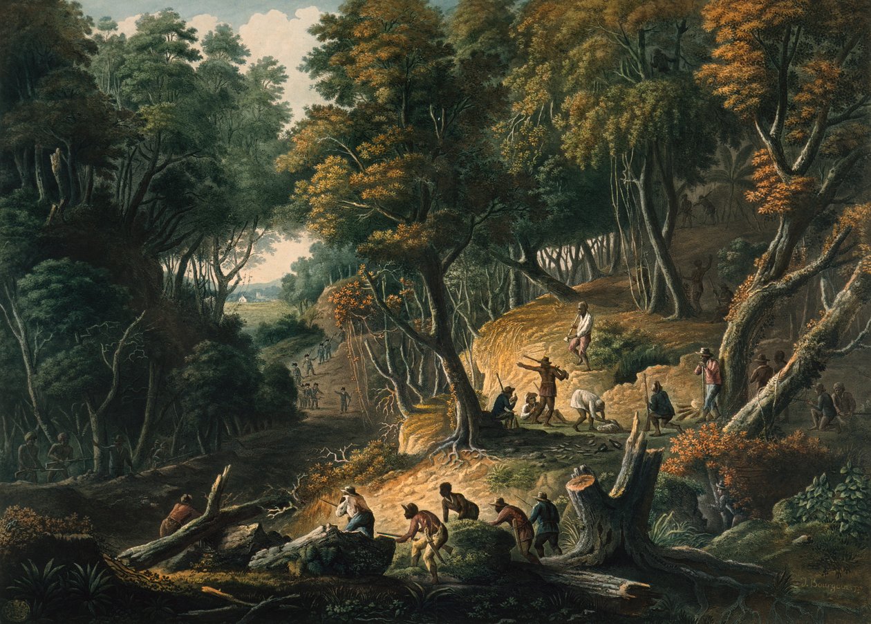  alkotó: J. Merigot