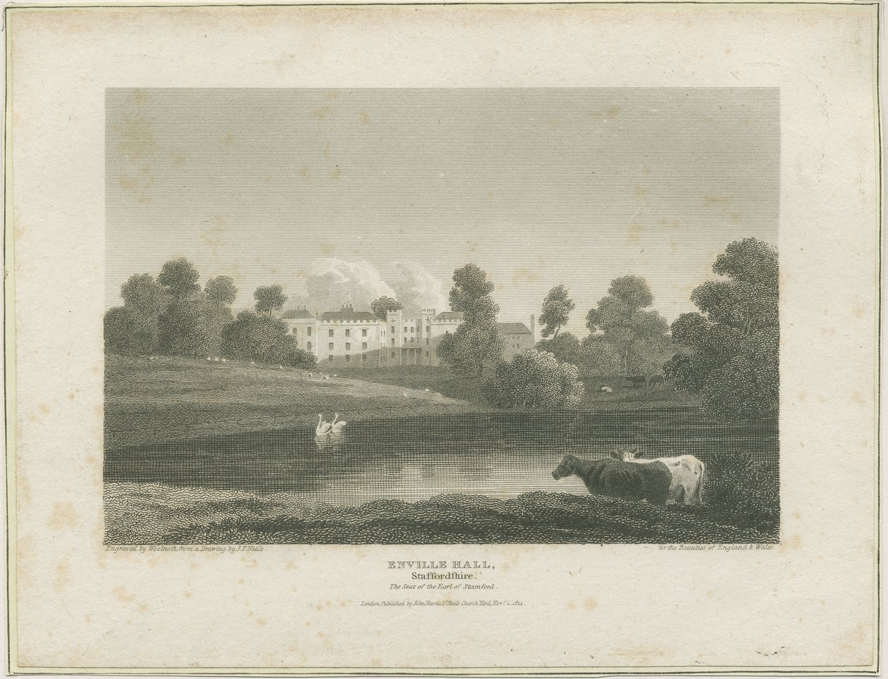 Enville Hall: metszet, nd [c 1814] (nyomtatás) alkotó: John Preston Neale