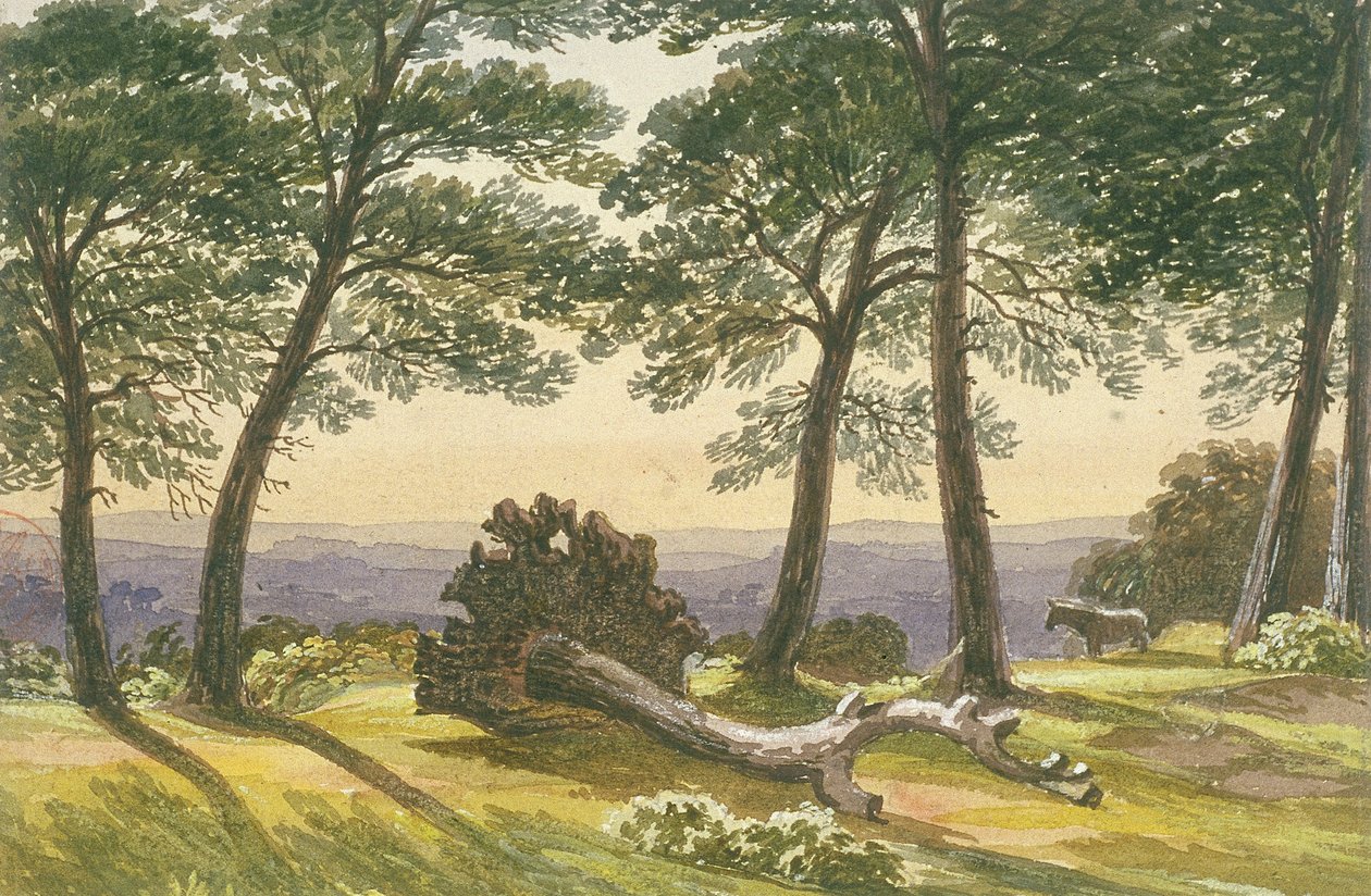 Hampstead Heath, London, 1830 alkotó: J Powell