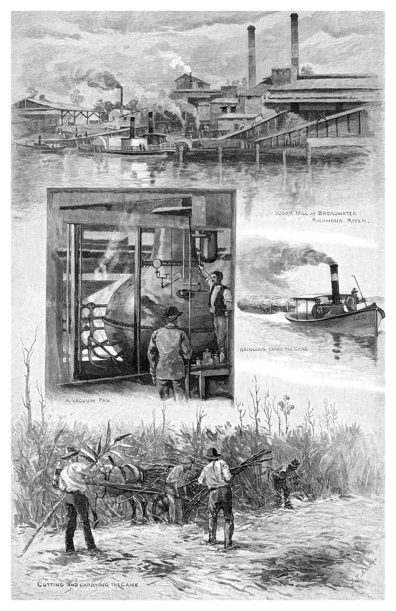 A cukoripar, Richmond River, Új-Dél-Wales, Ausztrália, 1886. alkotó: J. R. Ashton