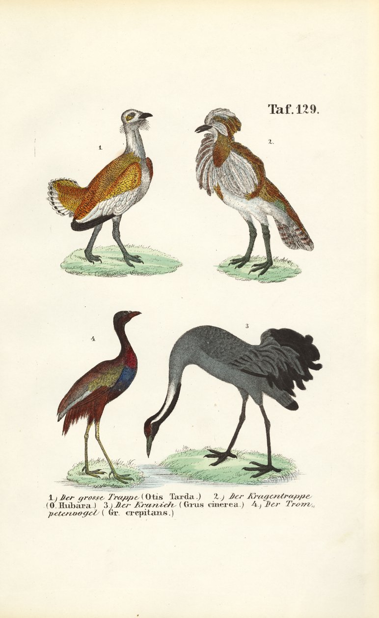  alkotó: J. W. Tenhaeff