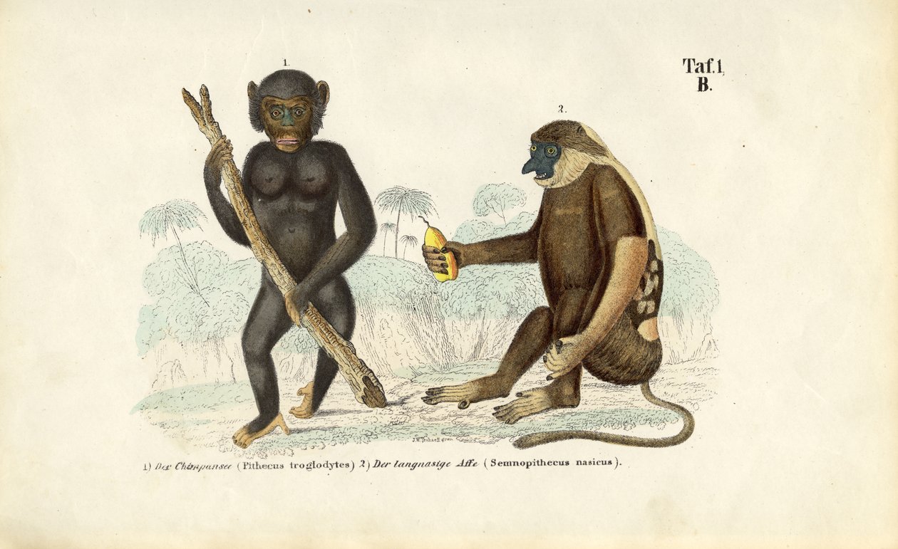  alkotó: J. W. Tenhaeff