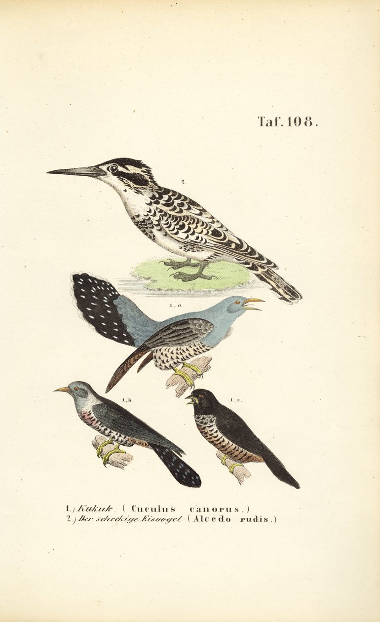  alkotó: J. W. Tenhaeff