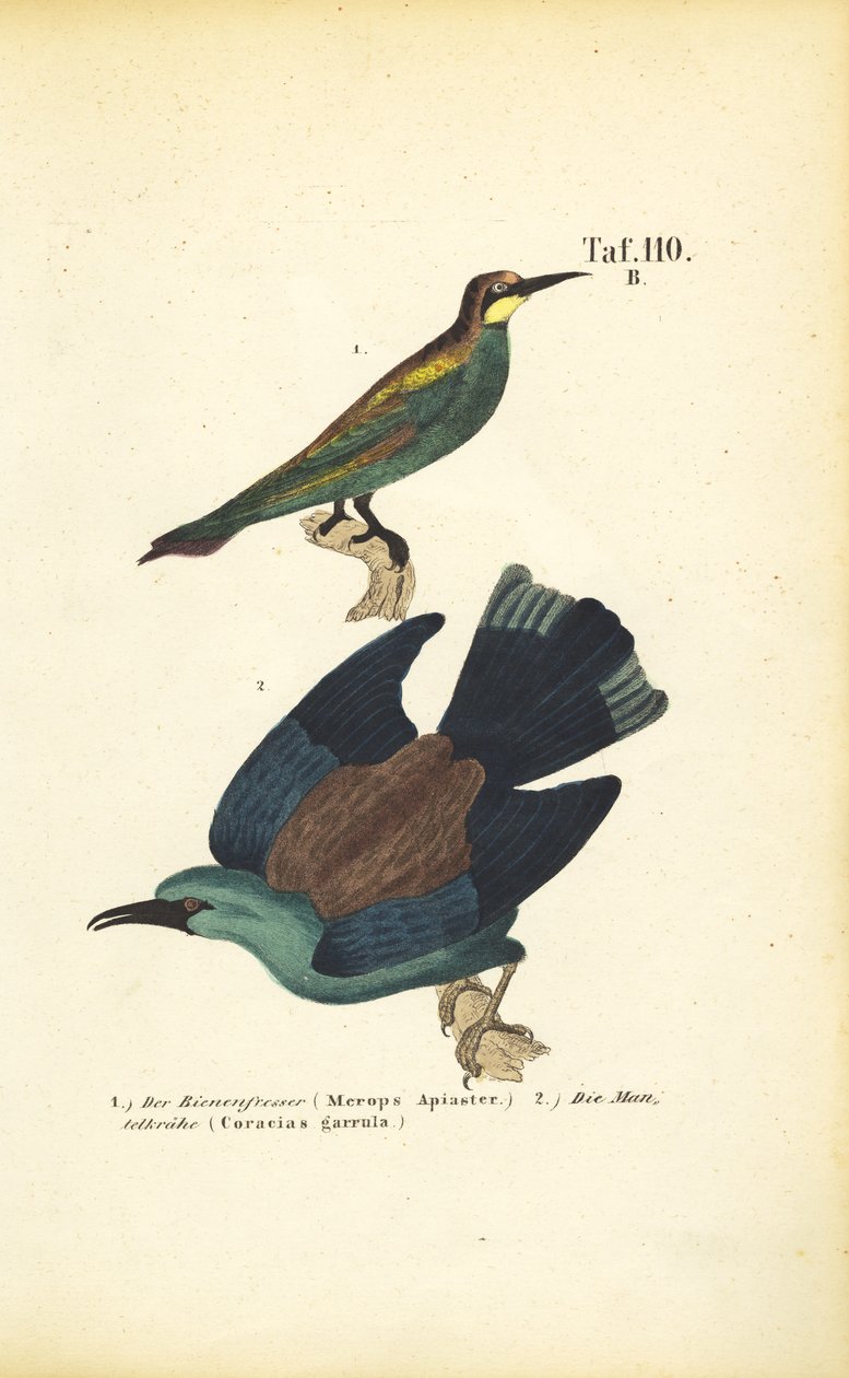  alkotó: J. W. Tenhaeff