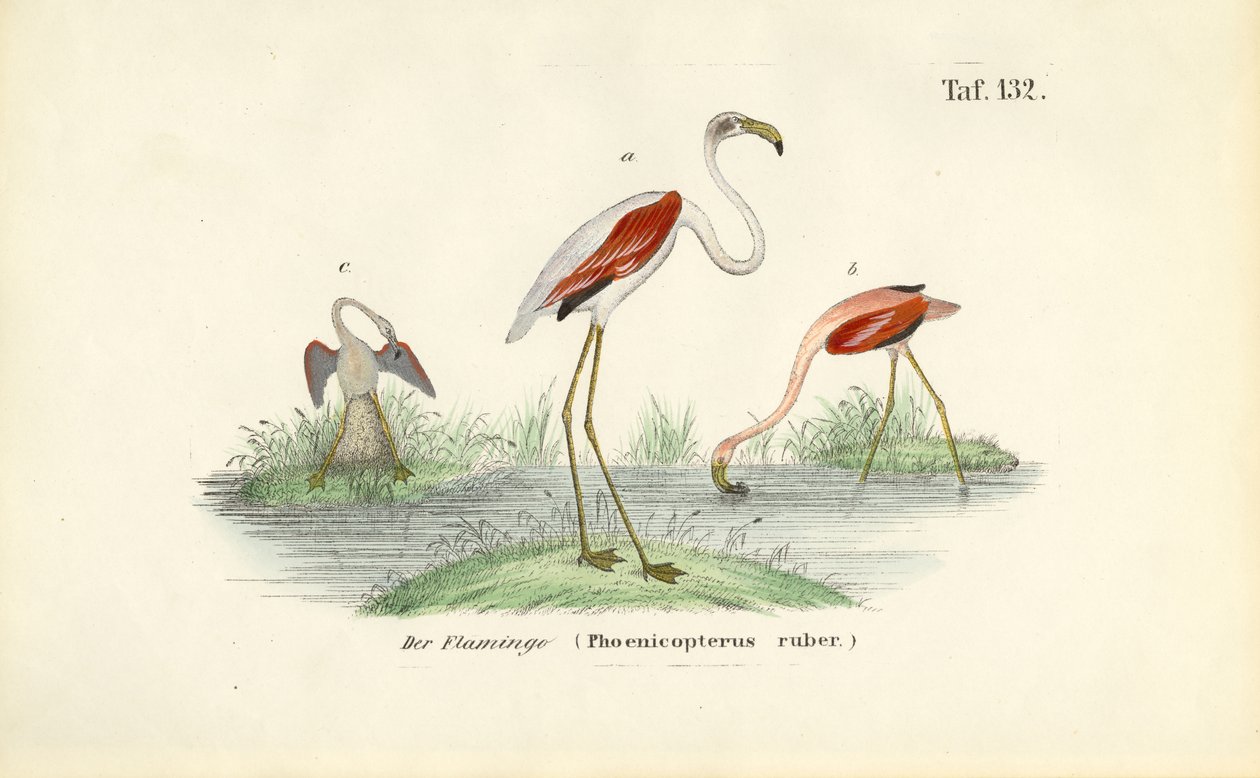  alkotó: J. W. Tenhaeff