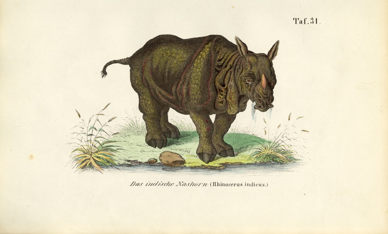  alkotó: J. W. Tenhaeff