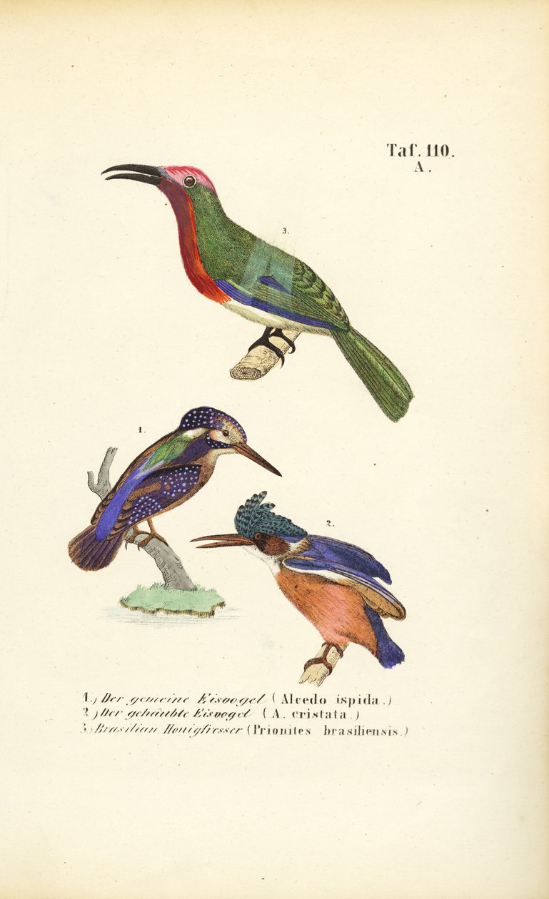  alkotó: J. W. Tenhaeff