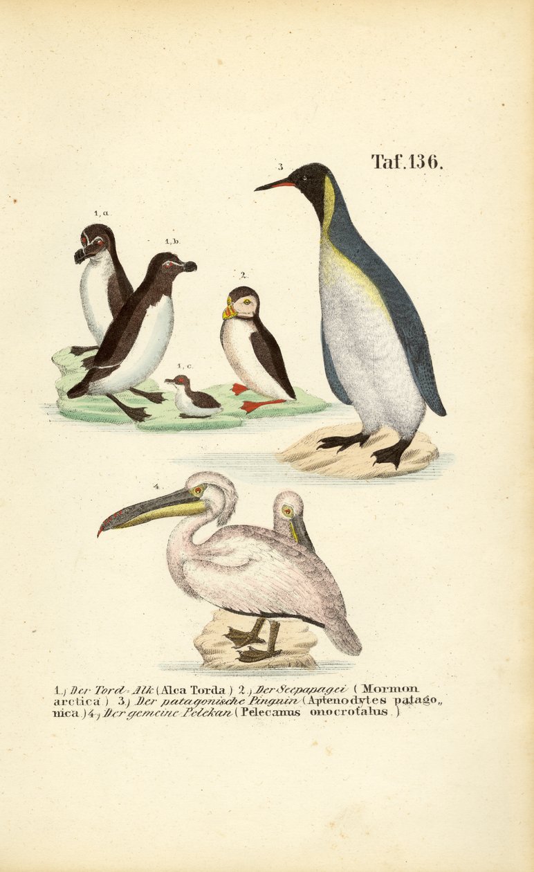  alkotó: J. W. Tenhaeff