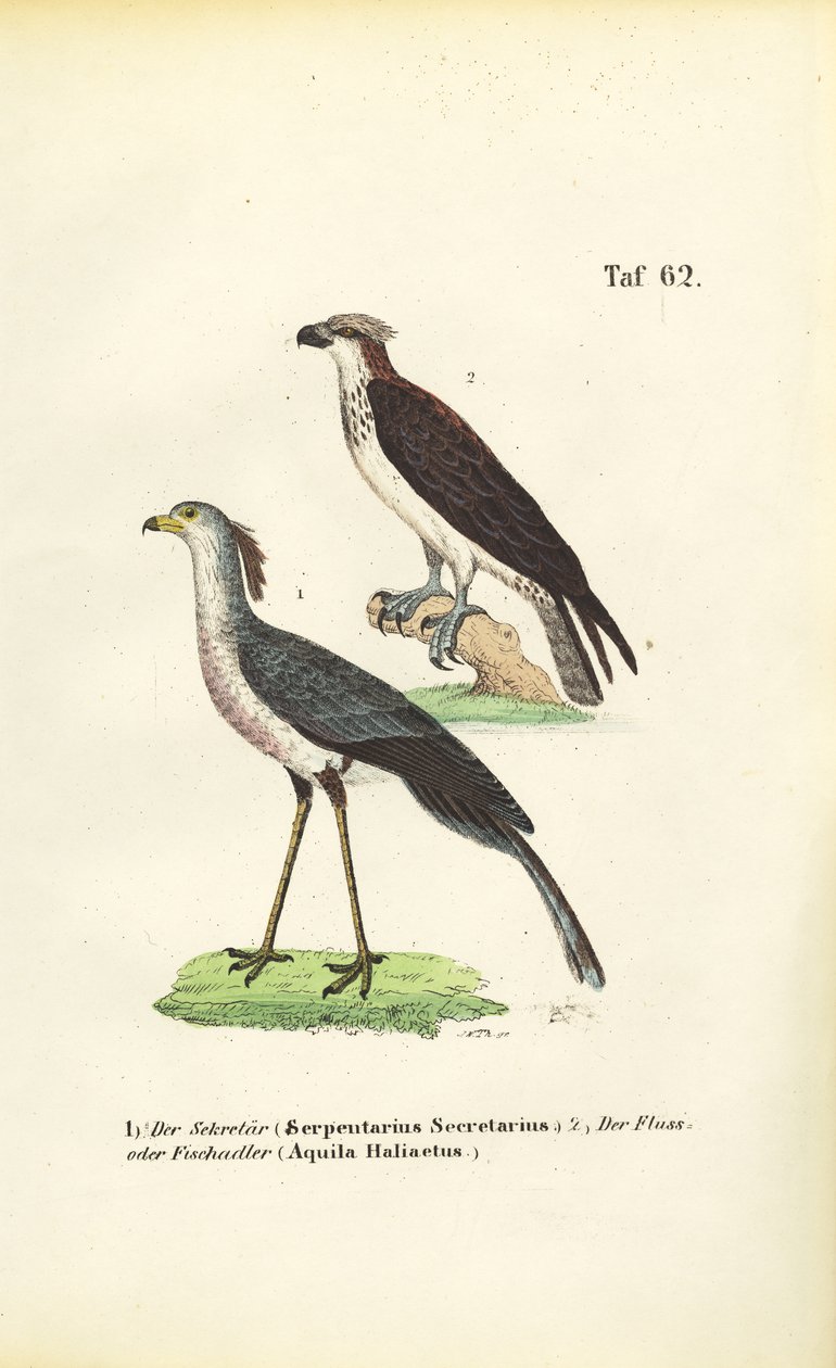  alkotó: J. W. Tenhaeff