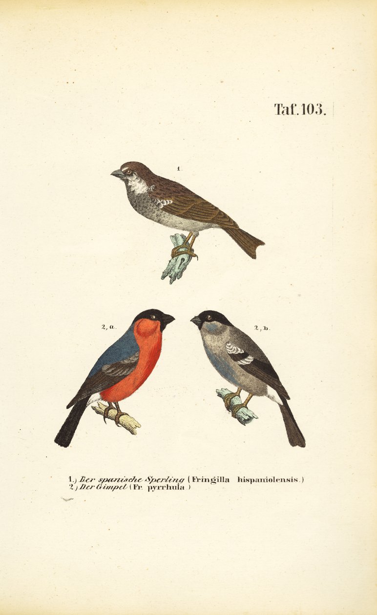  alkotó: J. W. Tenhaeff