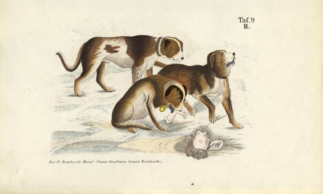  alkotó: J. W. Tenhaeff