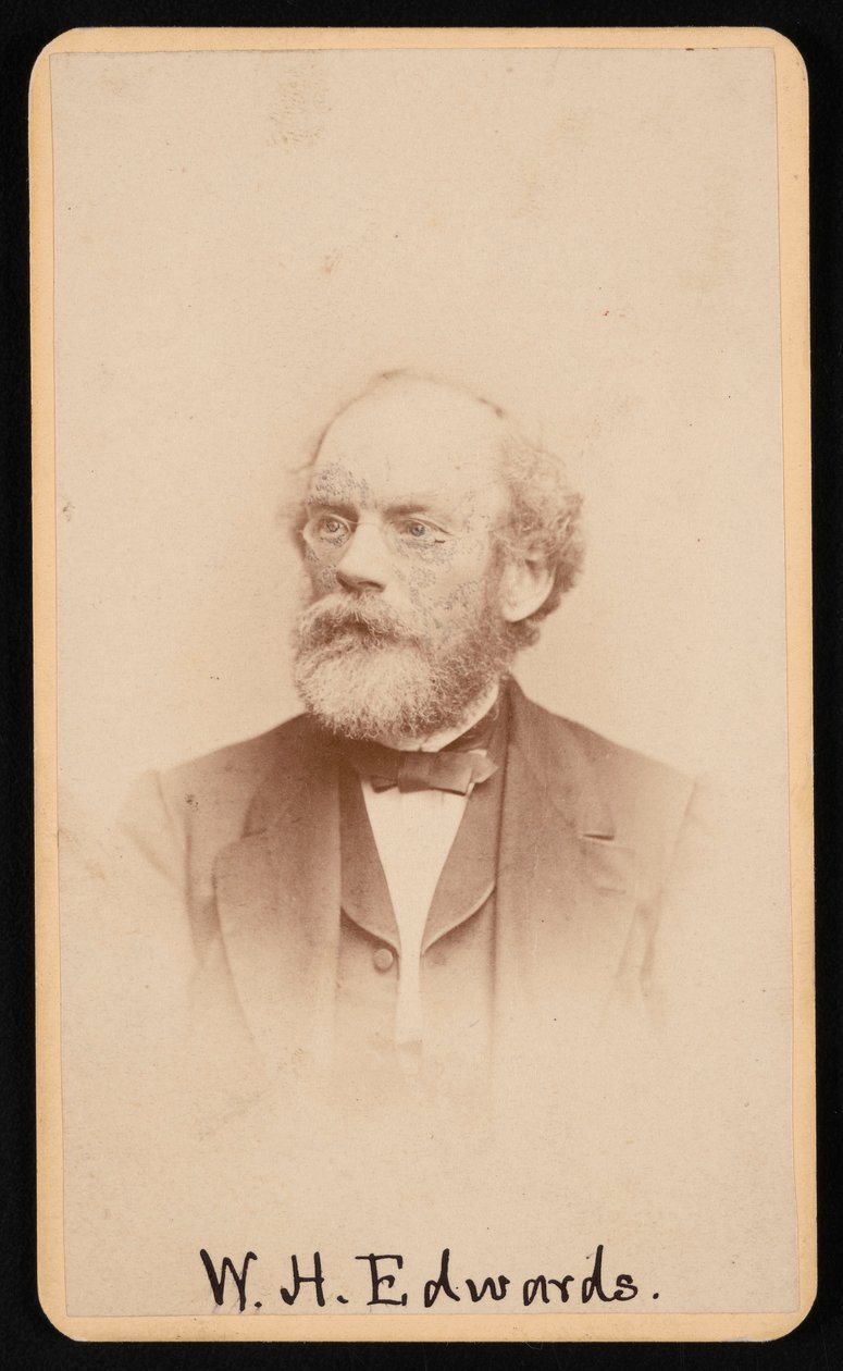 William Henry Edwards portréja 1822-1909, 1870-es évek 1880-as évek körül. alkotó: J and W Vincent