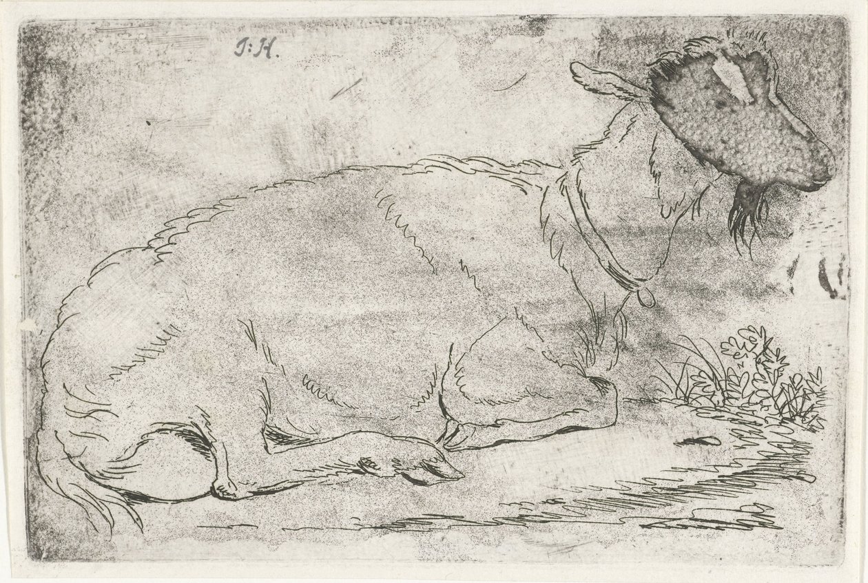 fekvő kecske alkotó: Jabes Heenck (signed by artist)