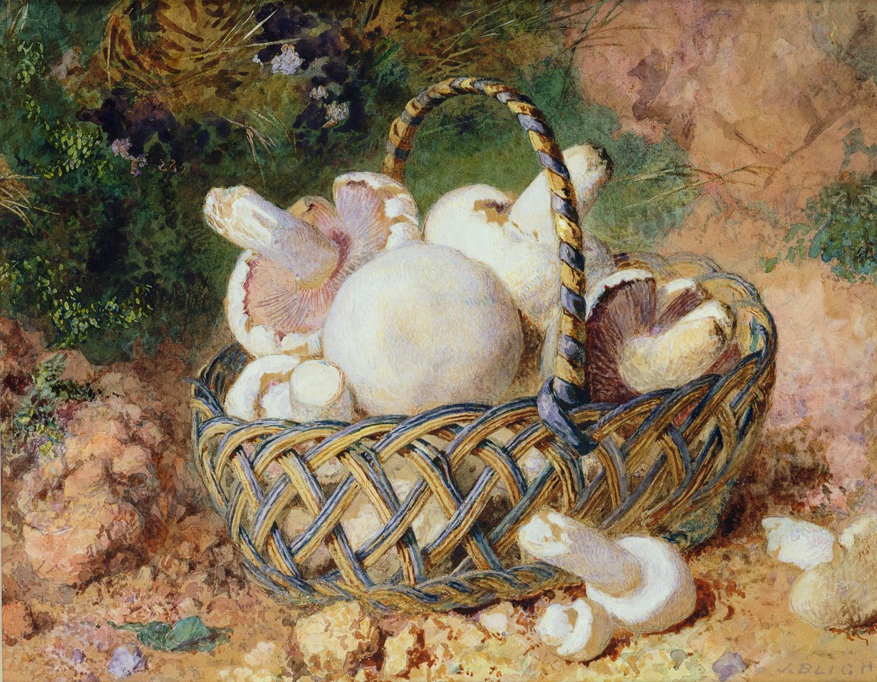 Egy kosár gomba, 1871 (párért lásd: 215285) alkotó: Jabez Bligh