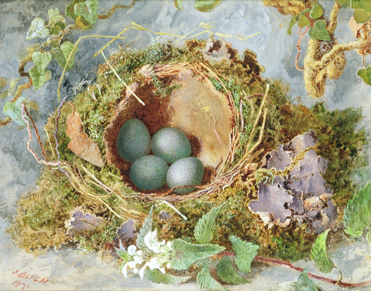 Tojásfészek, 1871 (a párért lásd: 215284) alkotó: Jabez Bligh