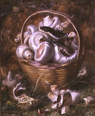 Gombák (akvarell és gouache) alkotó: Jabez Bligh