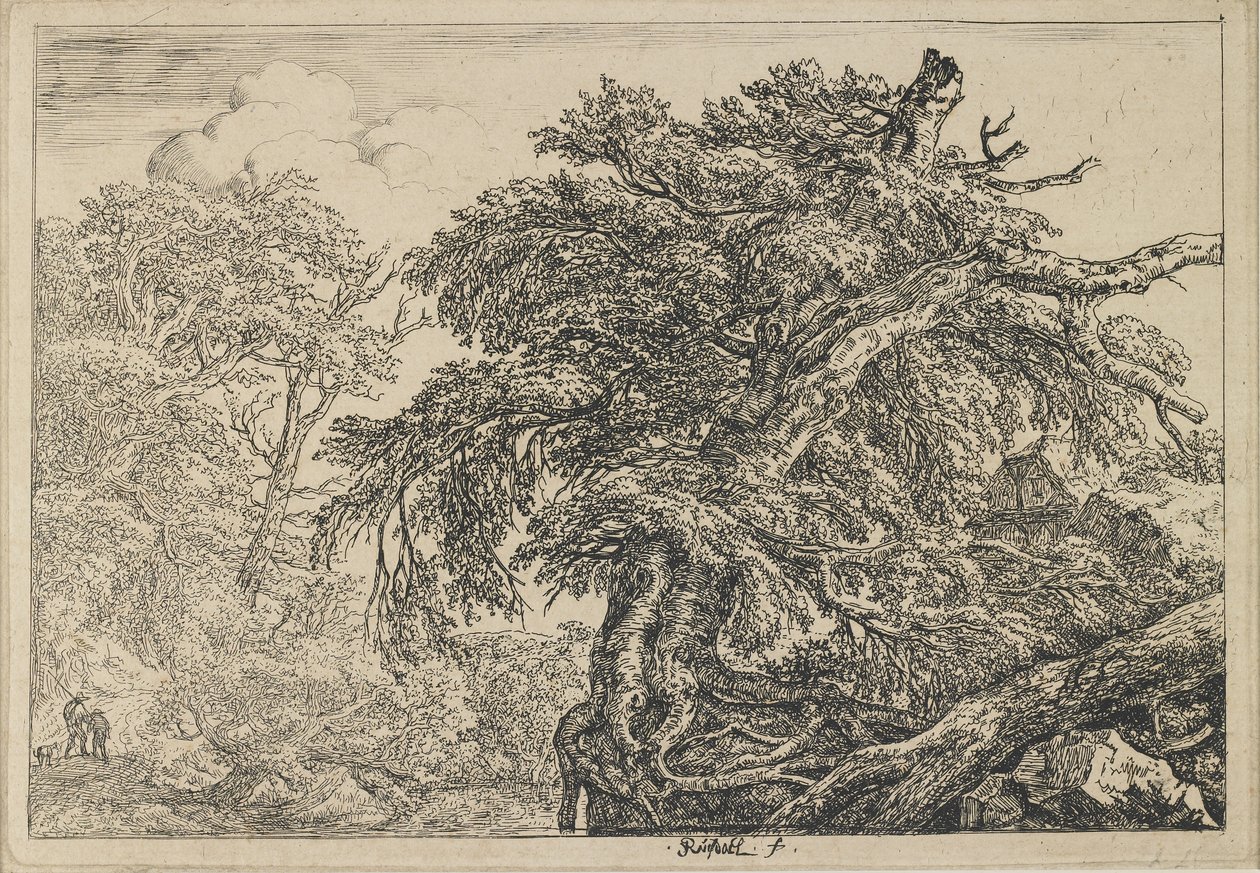 A nagy bükk két férfival és egy kutyával, c. 1650-1655 alkotó: Jacob van Ruisdael