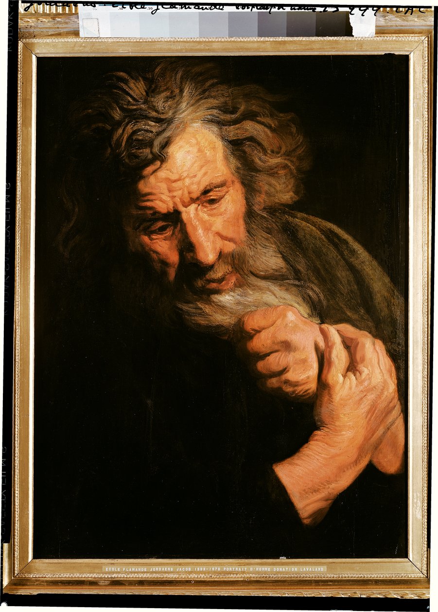Egy férfi portréja alkotó: Jacob Jordaens