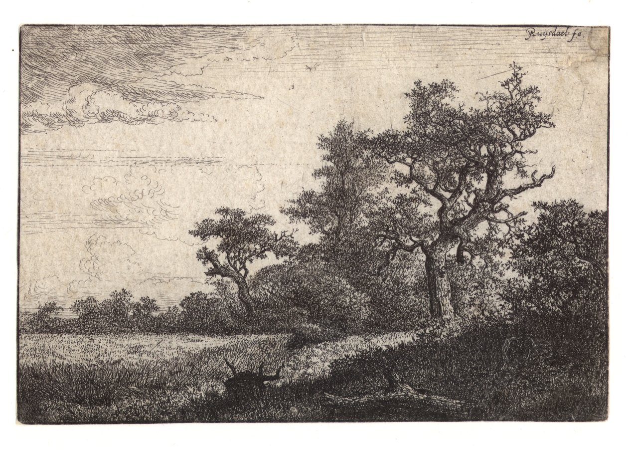 Fa és gabonaföld marása alkotó: Jacob van Ruisdael