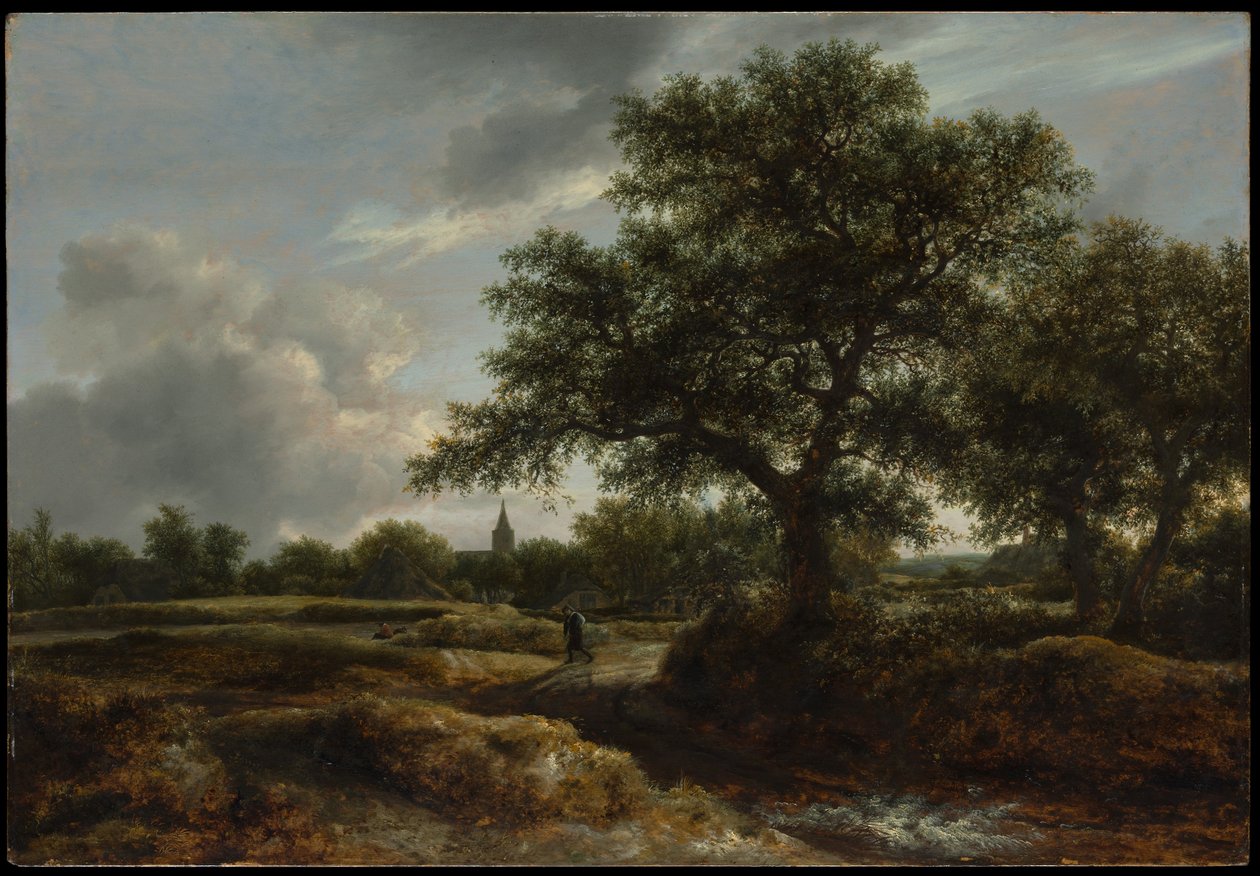 Táj egy faluval a távolban alkotó: Jacob van Ruisdael