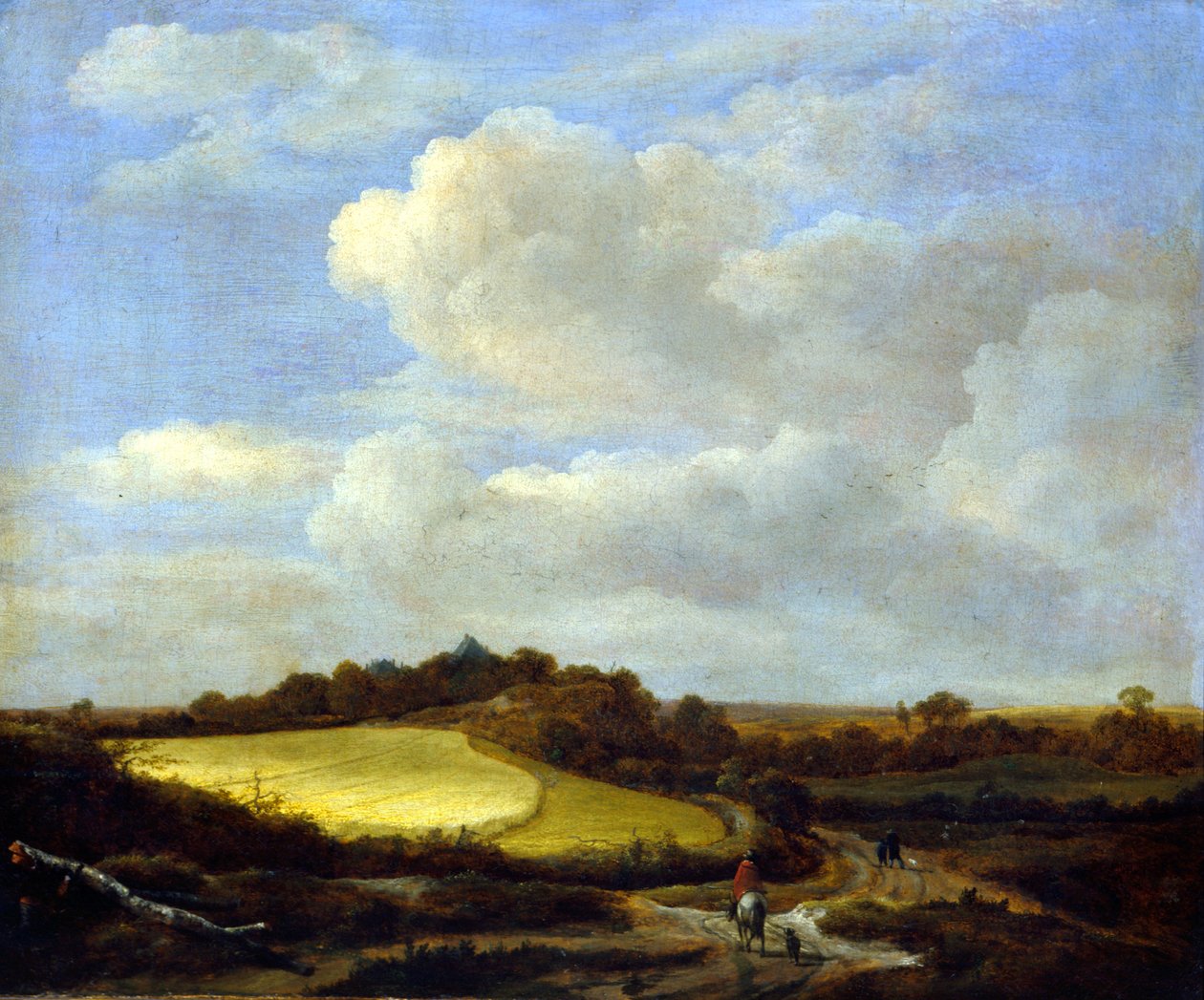 A Búzamező alkotó: Jacob van Ruisdael