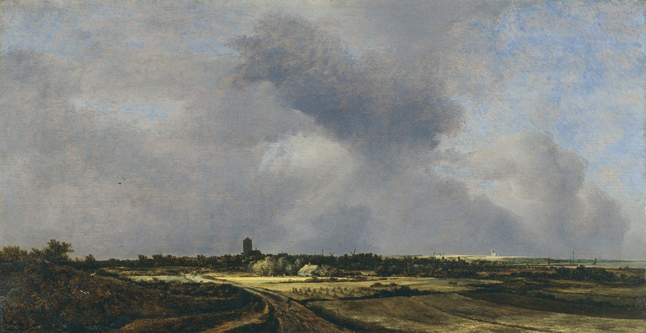 Kilátás Naardenre alkotó: Jacob van Ruisdael