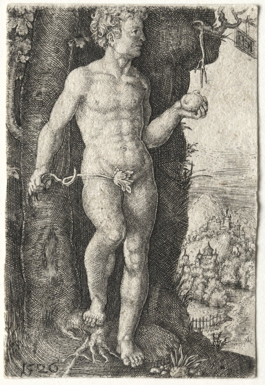 Ádám alkotó: Jacob Binck