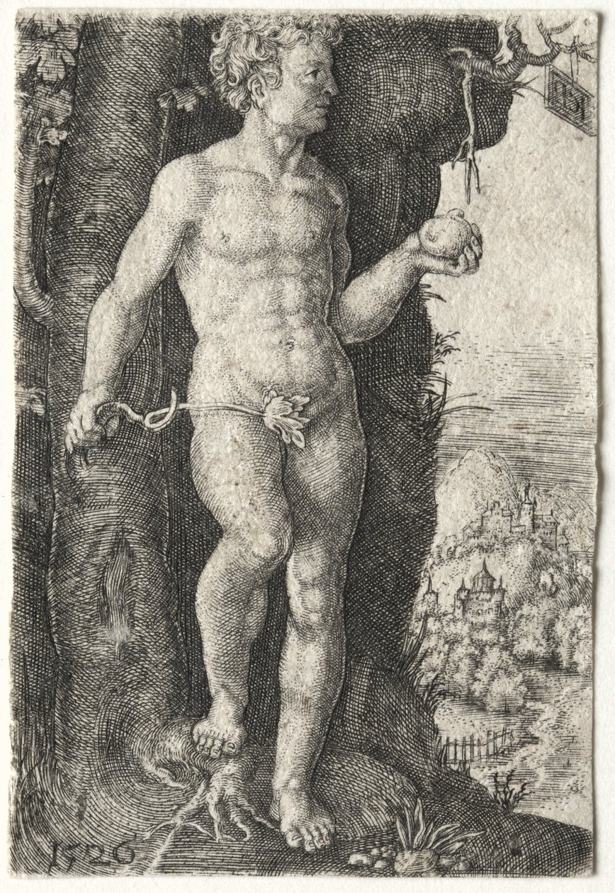 Ádám, 1526. alkotó: Jacob Binck