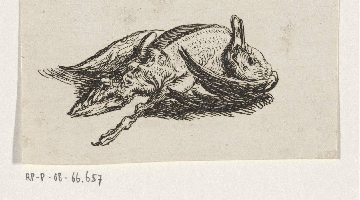 döglött kacsa alkotó: Jacob Elias van Varelen