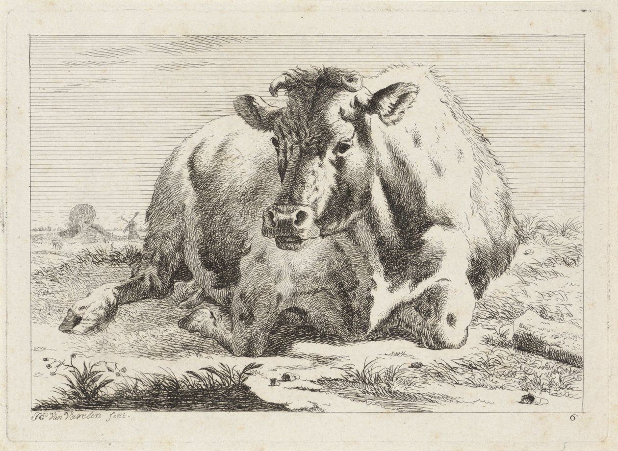 fekvő tehén Hat nyomat különböző mesterek rajzai után (sorozat címe) alkotó: Jacob Elias van Varelen