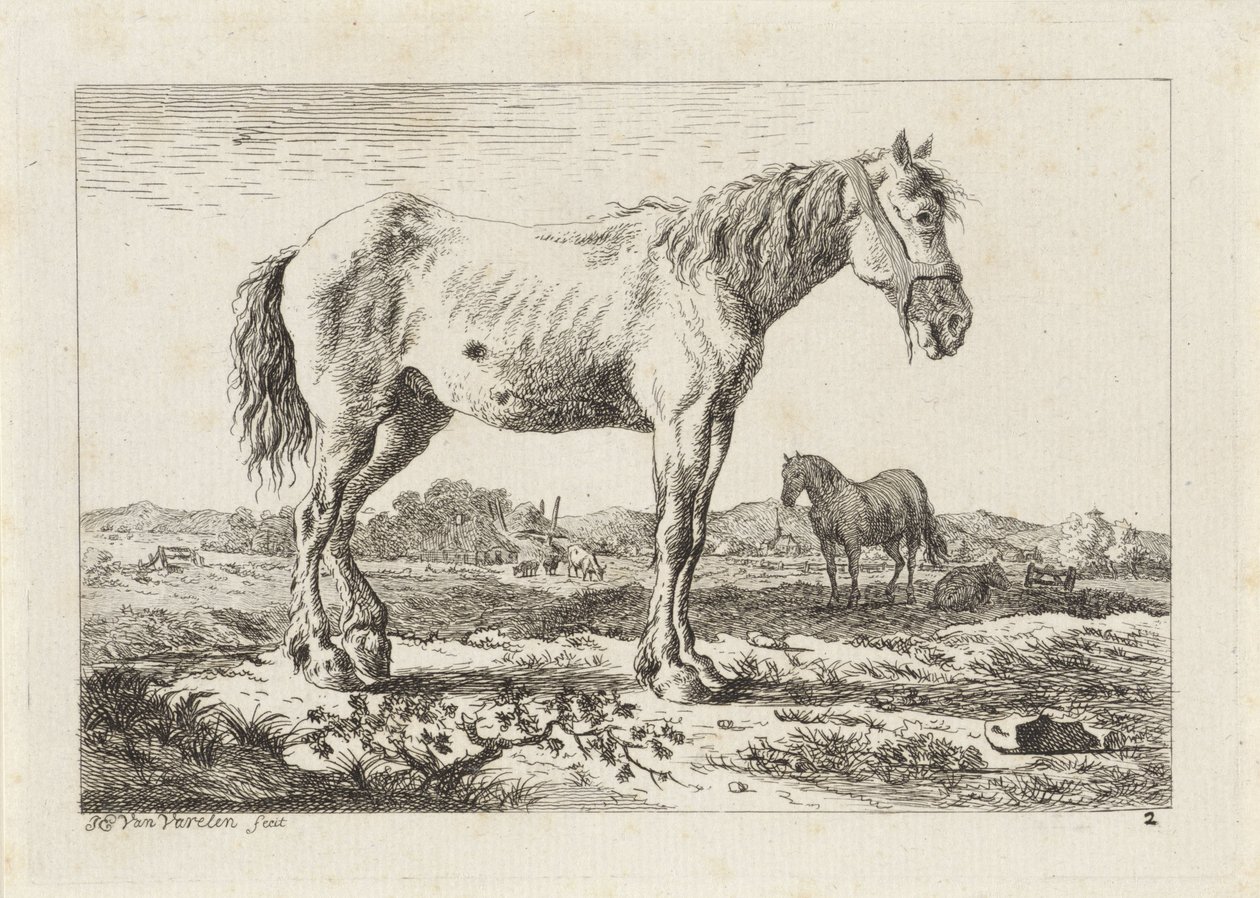 Álló ló a tájban Hat nyomat különböző mesterek rajzai után (sorozat címe) alkotó: Jacob Elias van Varelen