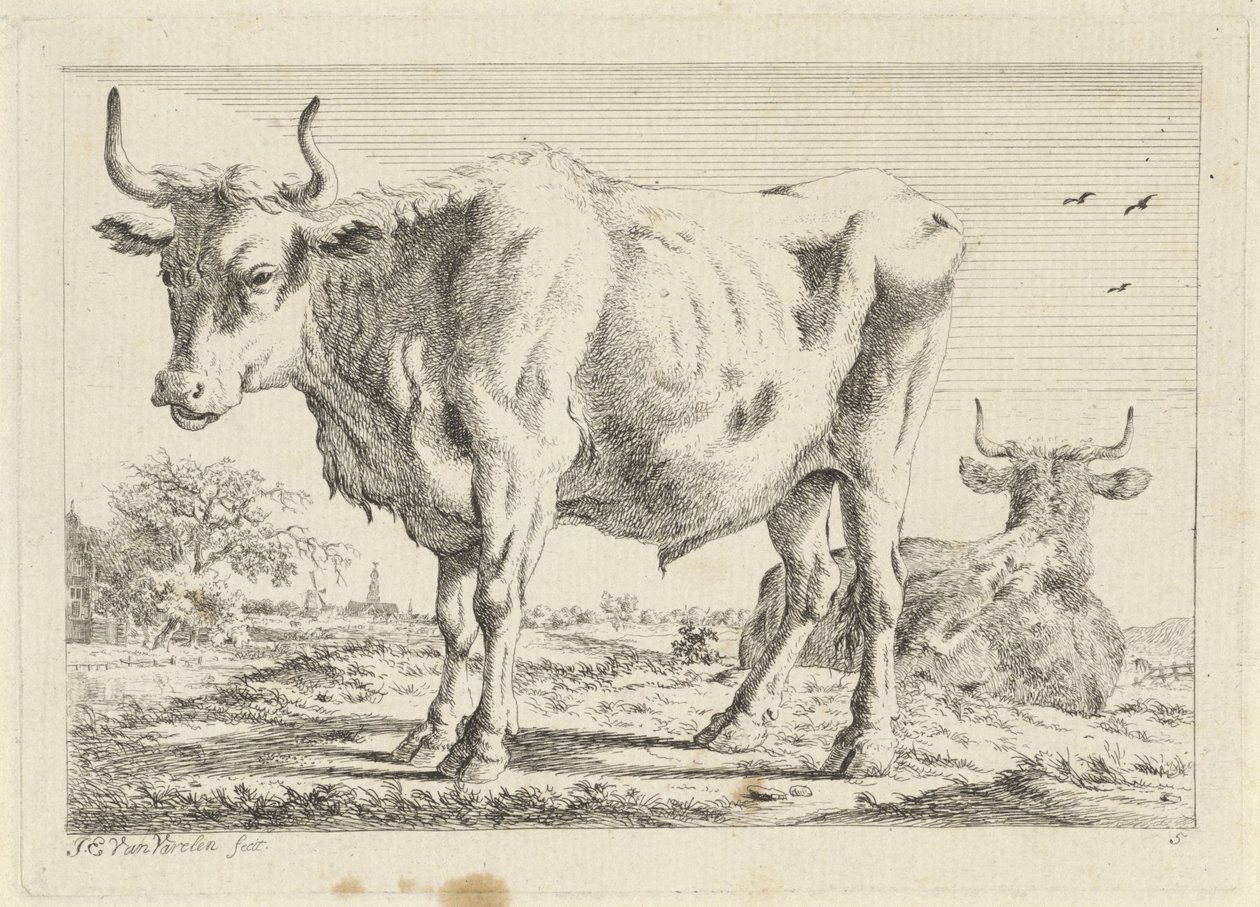 Álló és fekvő ökör Hat nyomat különböző mesterek rajzai után (sorozat címe) alkotó: Jacob Elias van Varelen