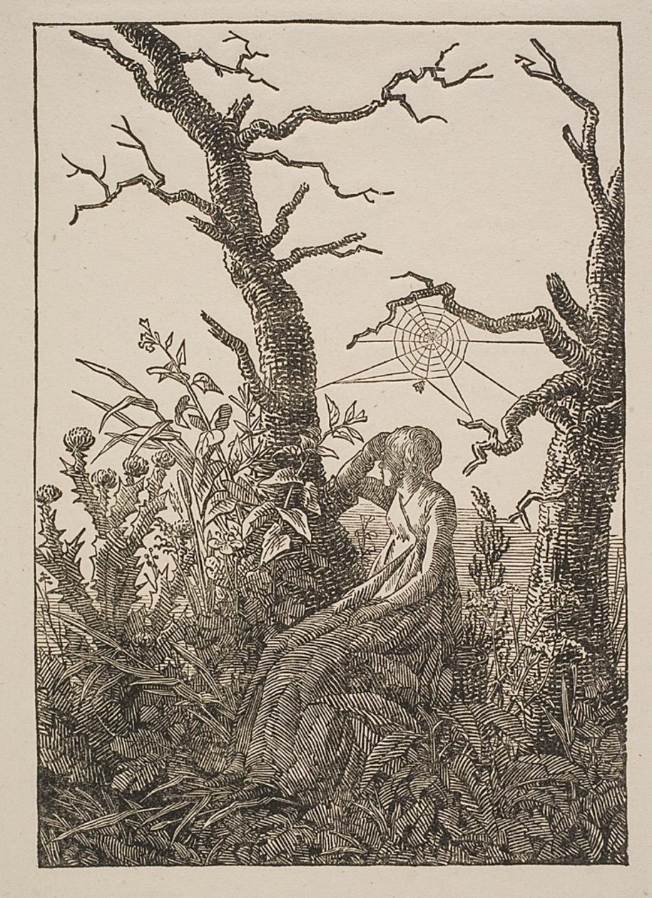 Melankólia. A nő a pókhálóval alkotó: Jacob Friedrich