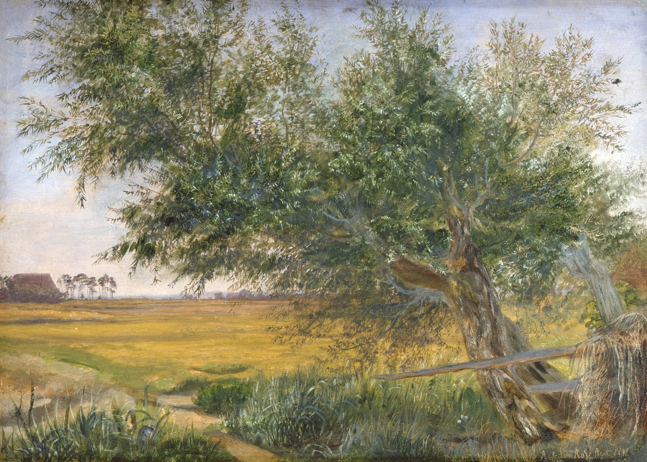 The Old Tree, 1842 (olaj, papír, kártyára ragasztva) alkotó: Jacob Gensler