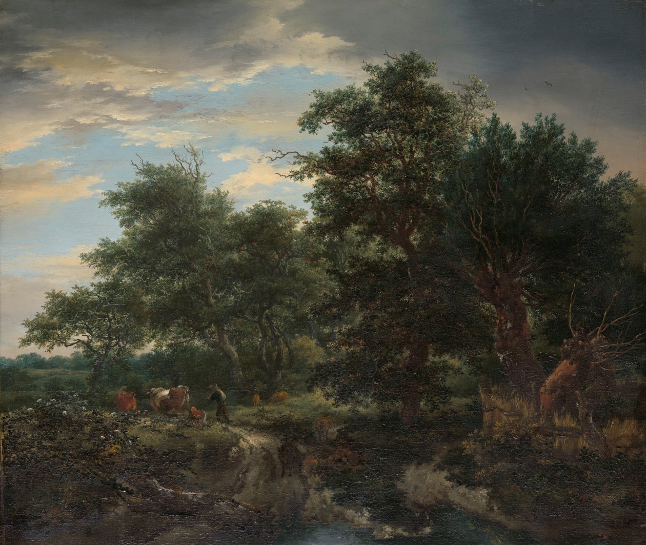 Erdei jelenet alkotó: Jacob van Ruisdael