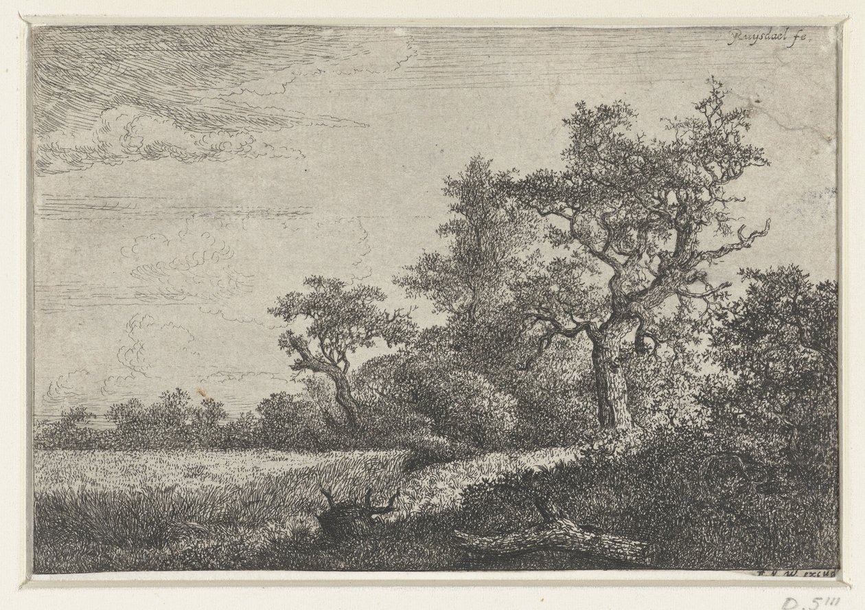 A kukoricatábla alkotó: Jacob van Ruisdael