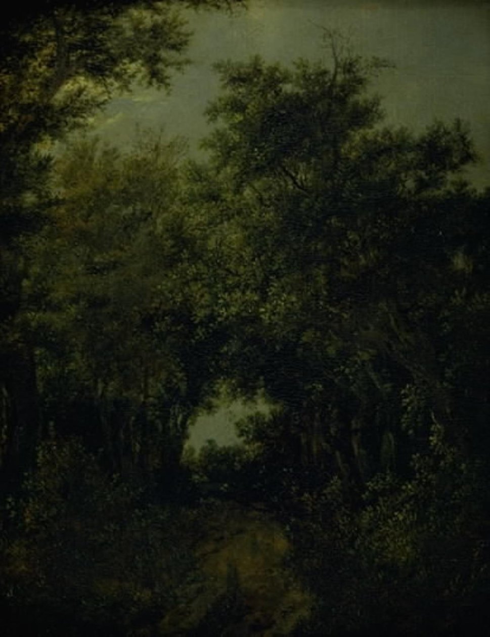 Út egy tölgyerdőben alkotó: Jacob van Ruisdael