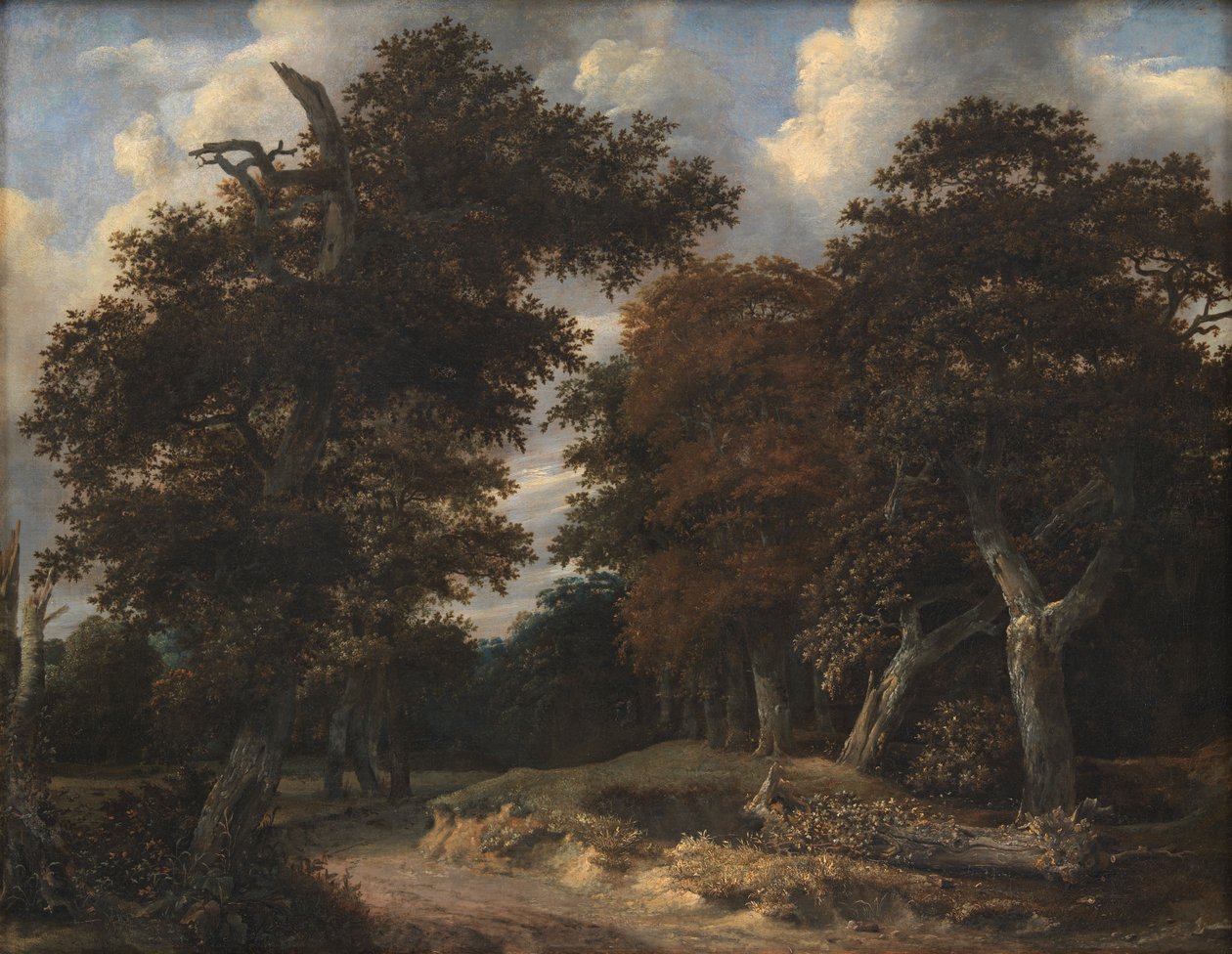 Út egy tölgyerdőn keresztül alkotó: Jacob van Ruisdael