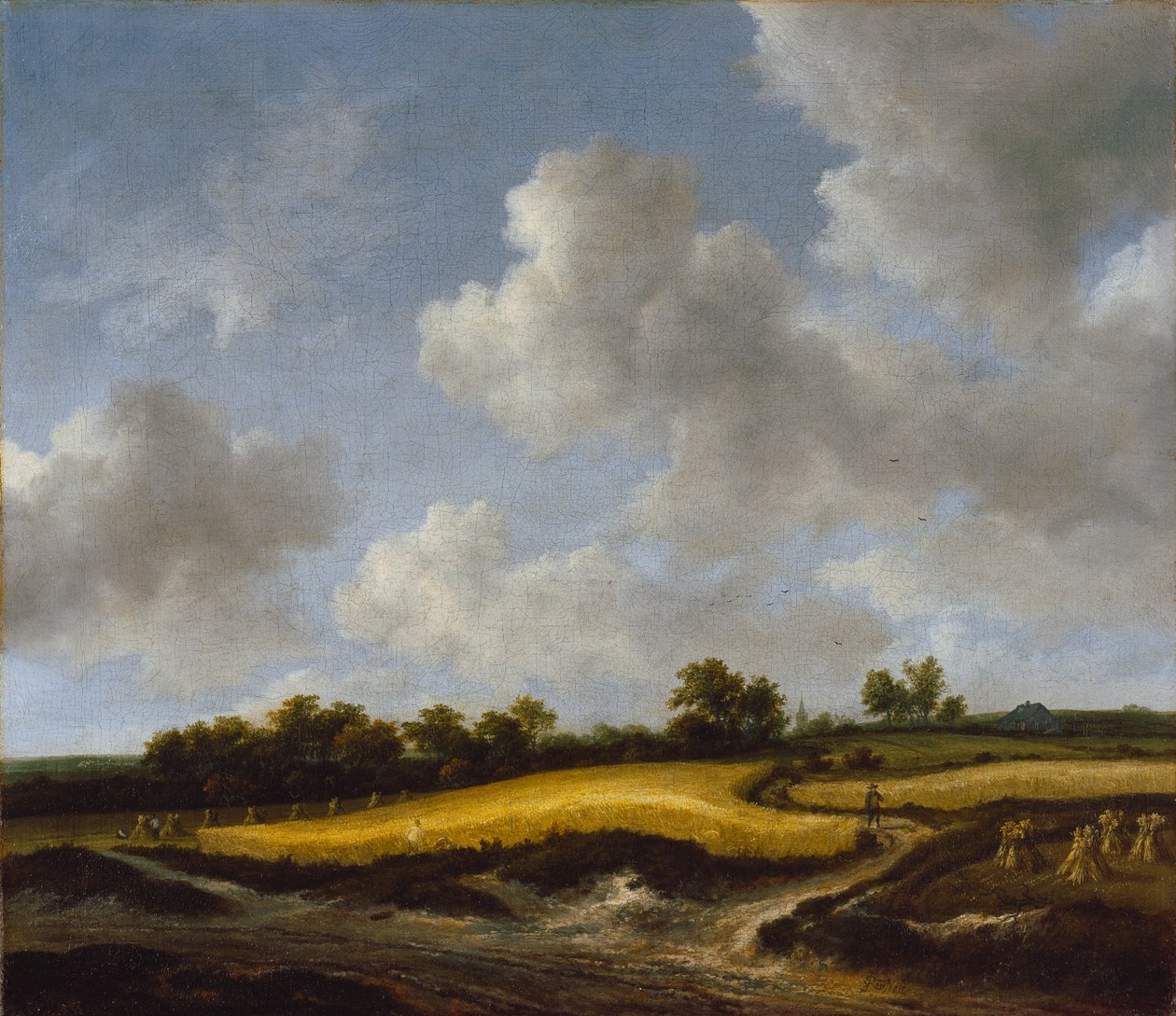 Táj búzamezővel, 1660 körül alkotó: Jacob van Ruisdael