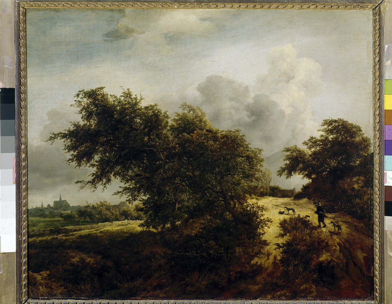 Le Buisson (A bokor), c. 1647 (olaj, vászon) alkotó: Jacob van Ruisdael