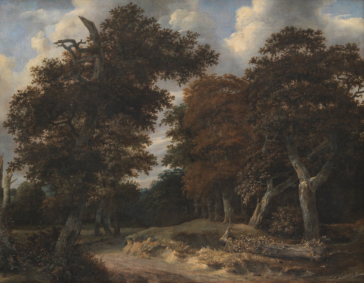 Út egy tölgyerdőn keresztül alkotó: Jacob van Ruisdael