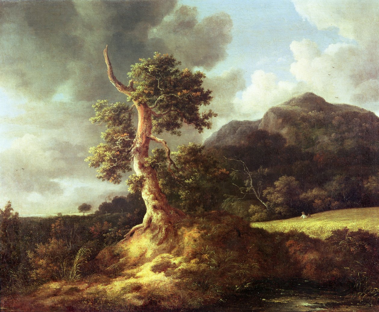 Ismeretlen kép alkotó: Jacob van Ruisdael