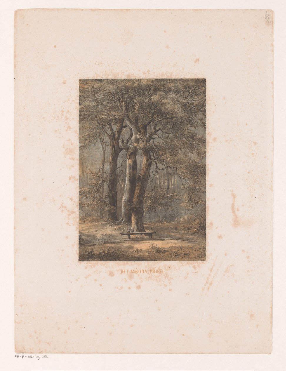 Jacoba pavilon A Jakoba pavilon (cím a tárgyon) alkotó: Jacob Jan van der Maaten